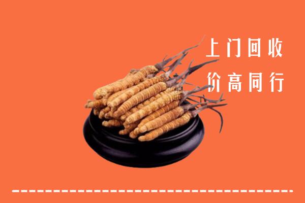 高价求购：江门恩平回收散虫草