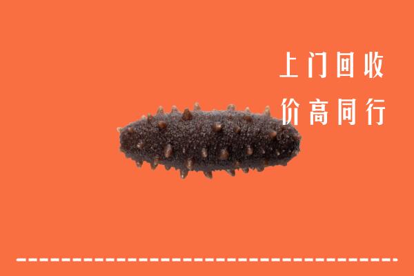 高价求购：江门恩平回收海参