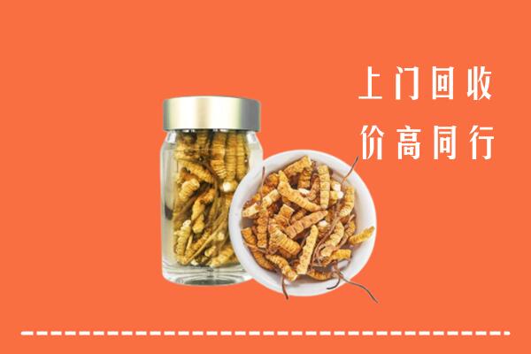 收购行情：江门恩平回收冬虫夏草