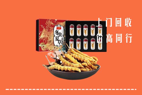 江门恩平高价回收虫草